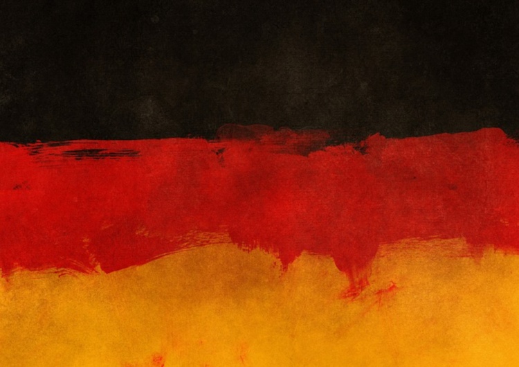 Aleksandra Fedorska Asked the Adenauer Foundation About Projects Funded in Poland